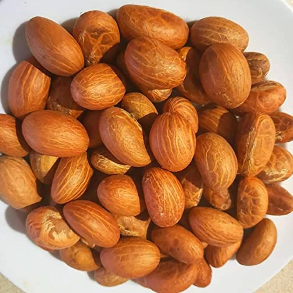 Bitter Kola Nuts (Garcinia kola)