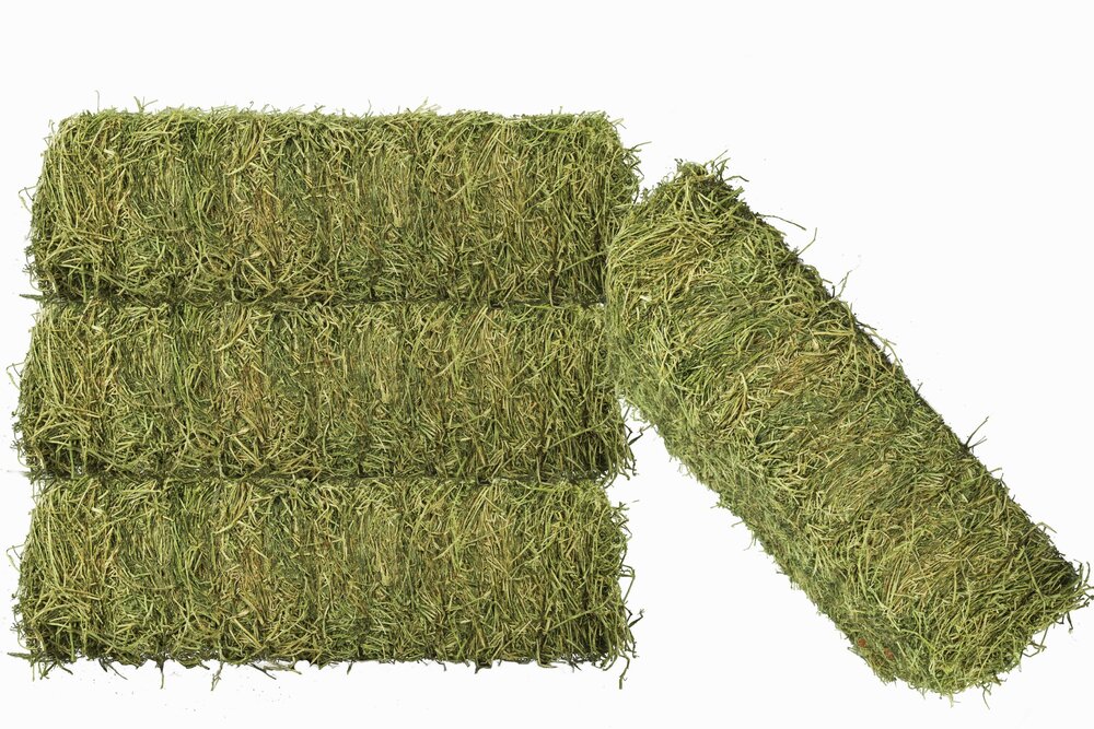 Alfalfa Hay