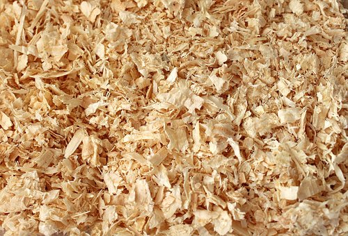 Wood Shavings Rough
